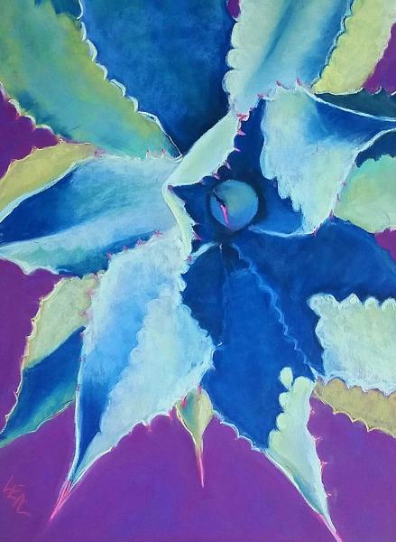 Evening Agave Star