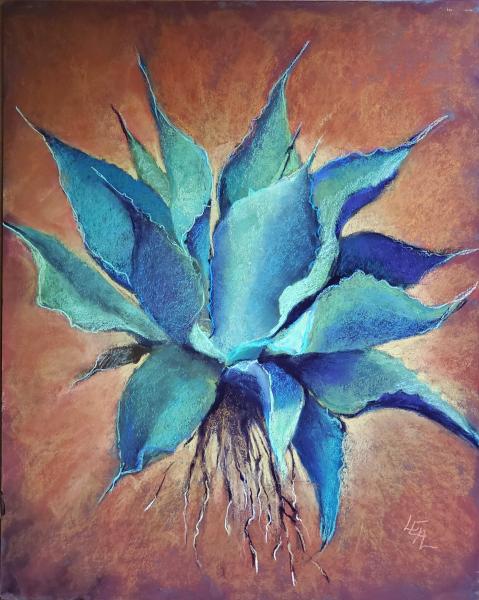 Agave Rising