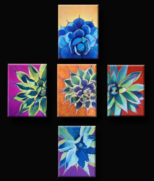 The Star Series (5 Prints for the price of 4)
