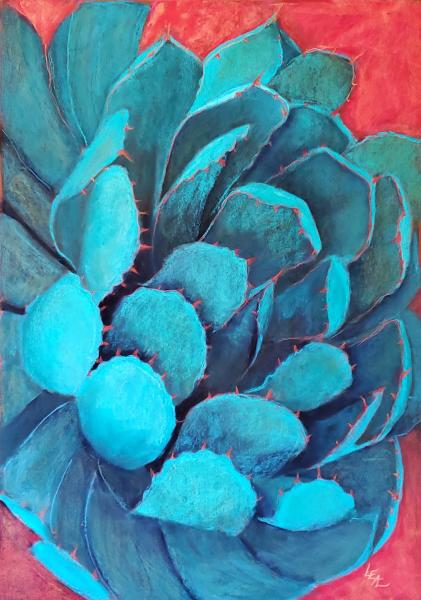 Abanico Agave