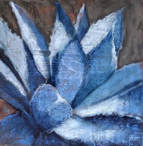Agave Aspera