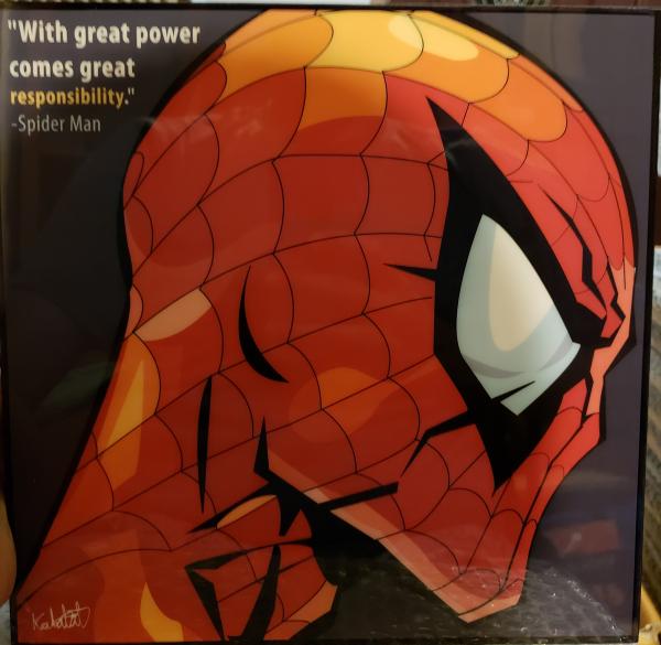 Spiderman picture