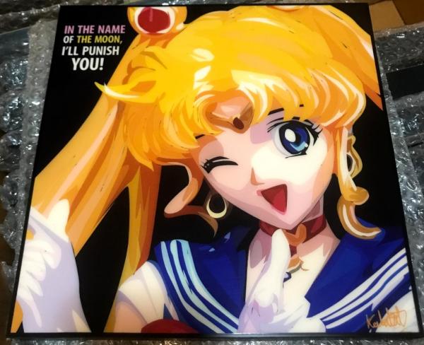 Sailor Moon picture