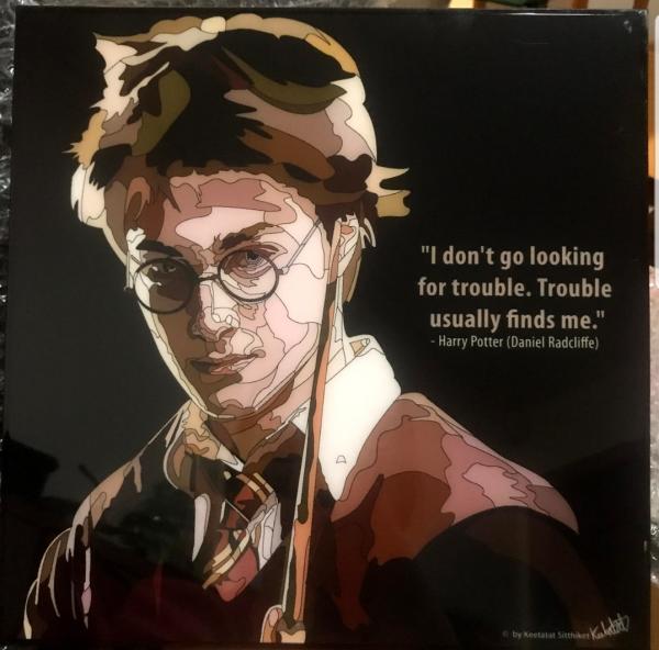 Harry Potter picture