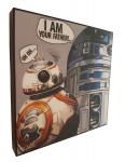 R2D2/BB-8