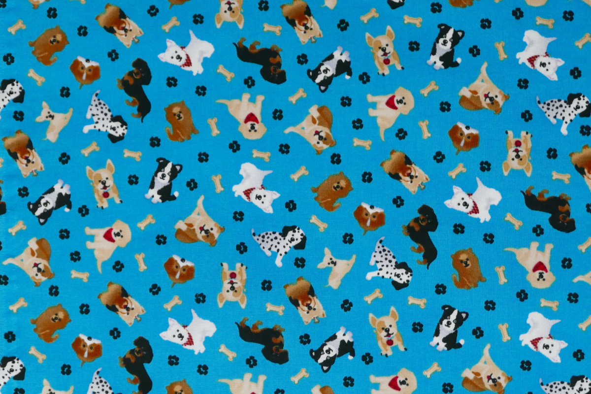 Dog Face Mask picture