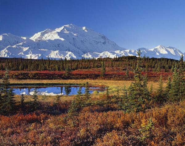 Denali Morning_Denali National Park, Alaska picture