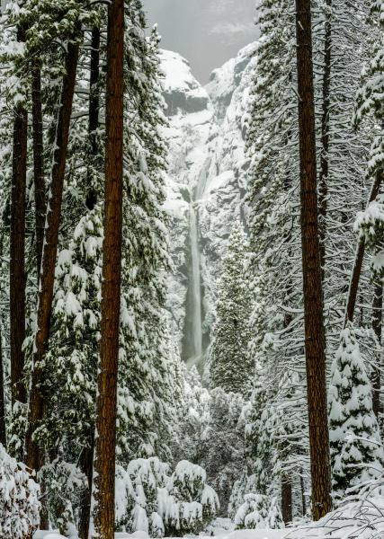 Yosemite Falls_Yosemite National Park, California