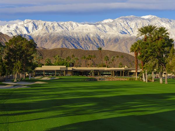 Tamarisk CC #18 picture