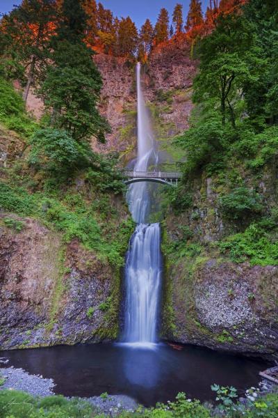 Multnomah Falls, Columbia Gorge, Oregon picture