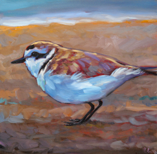 &ldquo;Coastal Charmer&rdquo; (Snowy Plover)&rdquo; stretched (unframed) gicle&eacute; canvas print