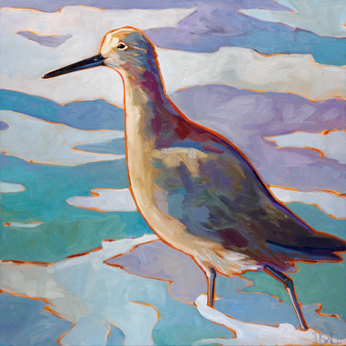 “Willet” stretched (unframed) gicleé canvas print picture