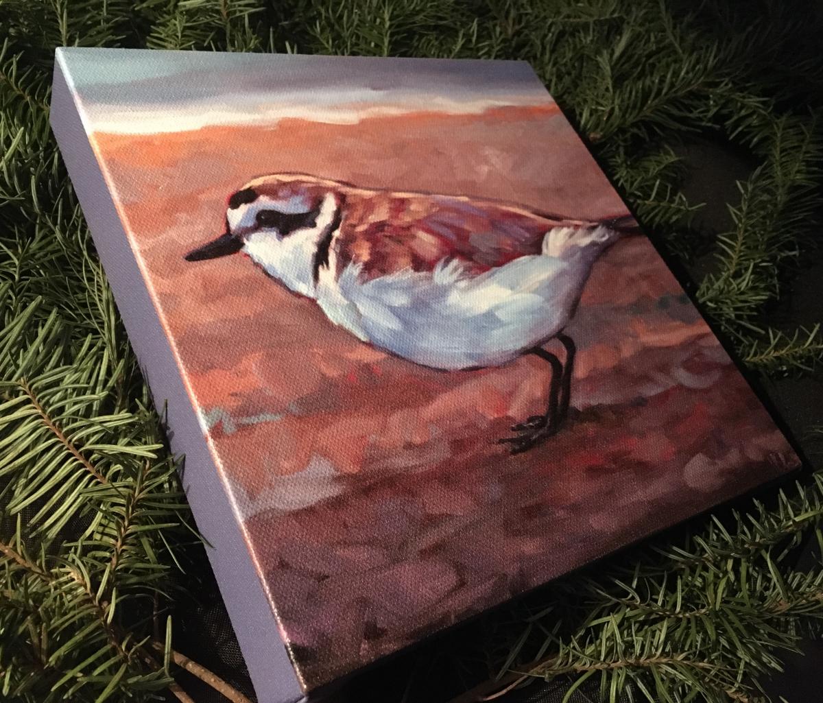 &ldquo;Coastal Charmer&rdquo; (Snowy Plover)&rdquo; stretched (unframed) gicle&eacute; canvas print picture