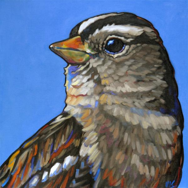 8x8” stretched gicleé canvas print “Humble King: White-Crowned Sparrow” picture