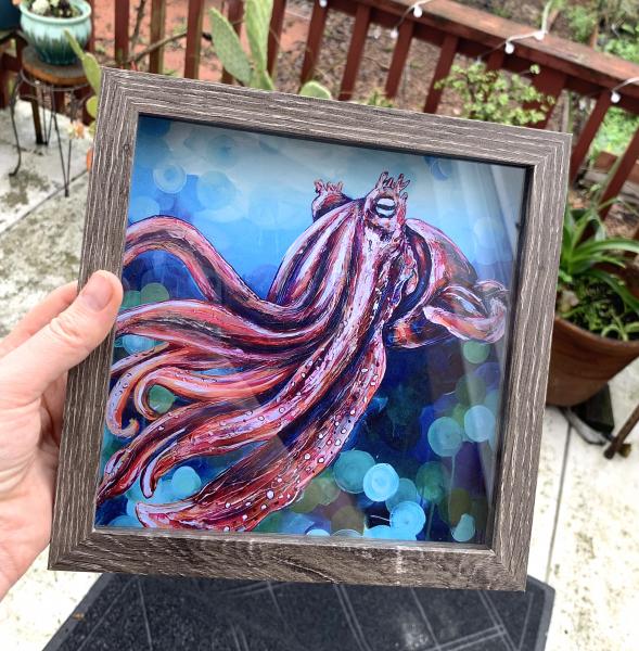 Sea Life Prints Framed picture