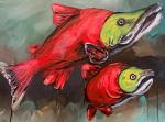 Sockeye Salmon