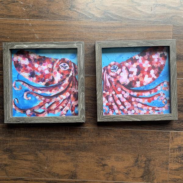 Squid 8x8" Framed Prints picture