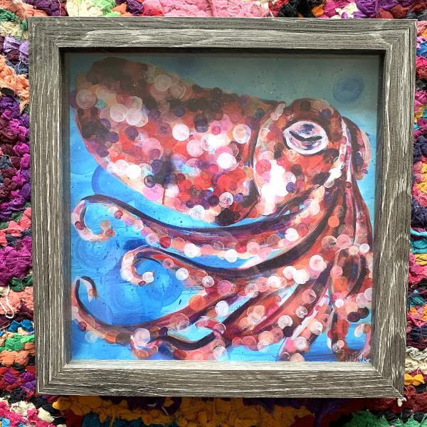 Squid 8x8" Framed Prints picture