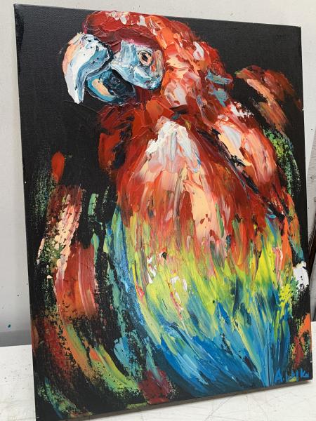 Scarlet Macaw picture