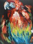 Scarlet Macaw