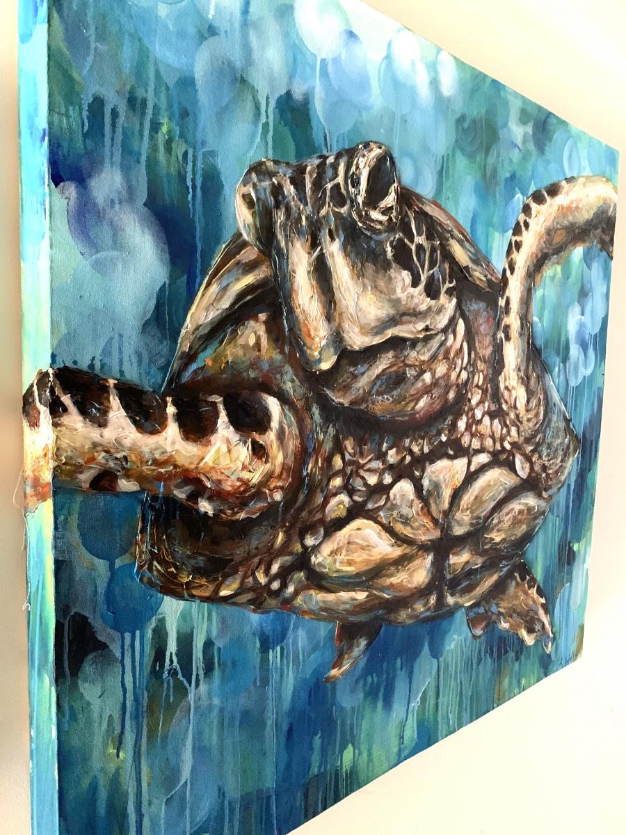 Green Sea Turtle picture