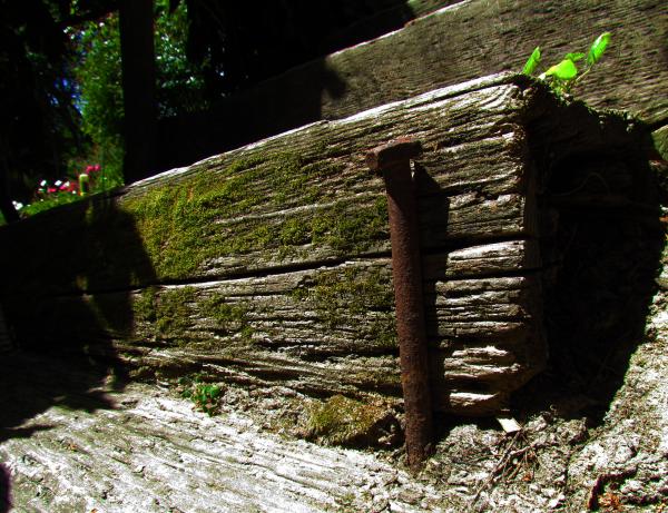 Along A Garden Path