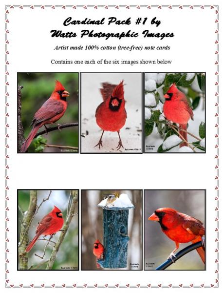Cardinal Pack #1 picture