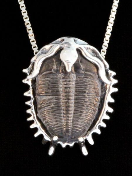 Trilobite Fossil Pendant - Silver picture