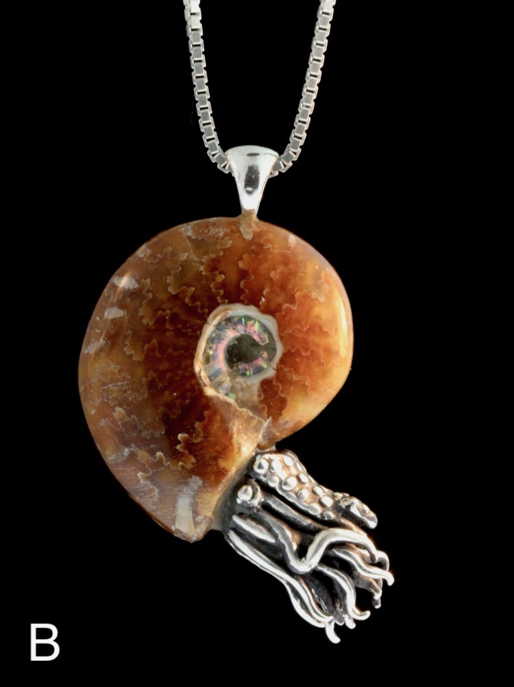 Fossilized Ammonite Nautilus Necklace - Silver picture
