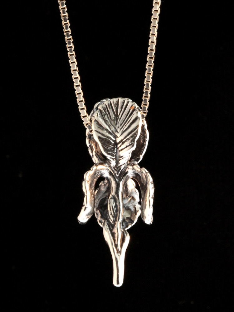 Iris Pendant - Silver picture