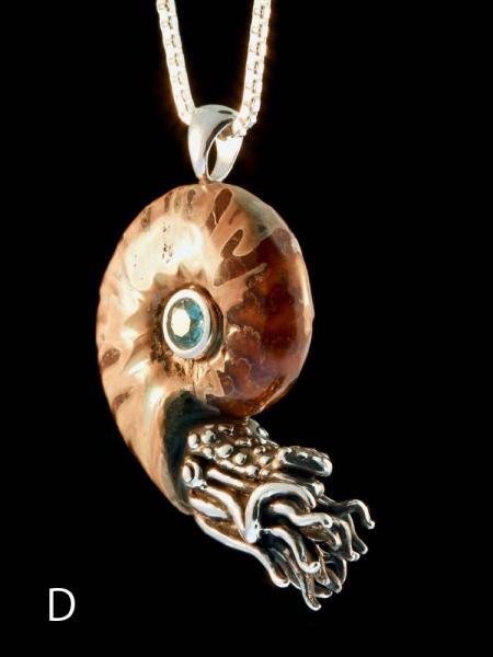 Fossilized Ammonite Nautilus Necklace - 5mm Gemstone - Silver picture