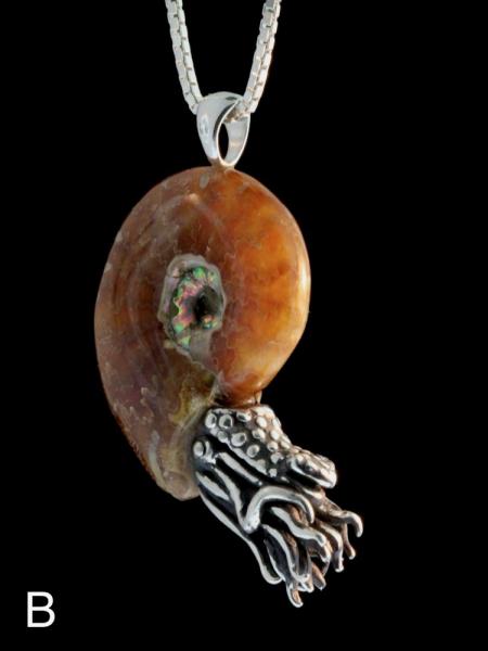 Fossilized Ammonite Nautilus Necklace - Silver picture