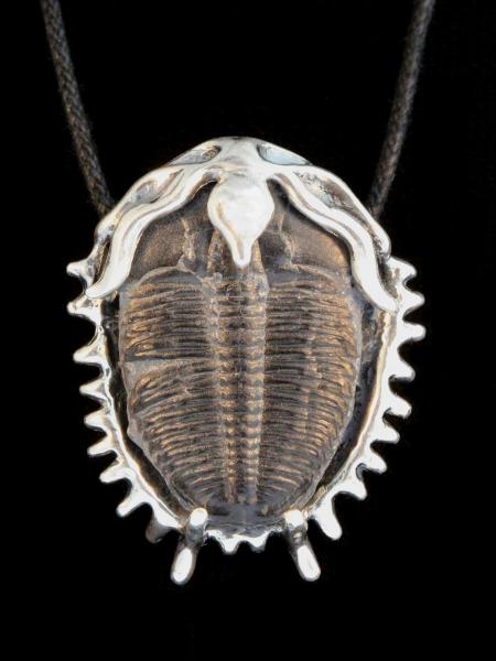 Trilobite Fossil Pendant - Silver picture