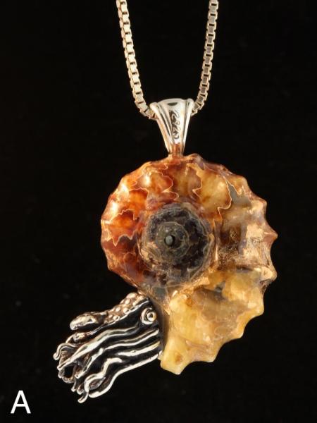 Spiky Fossilized Ammonite Nautilus Necklace with Gemstone - Silver picture