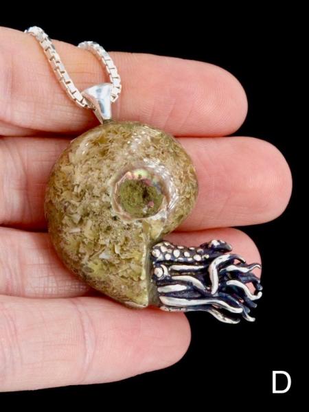 Fossilized Ammonite Nautilus Necklace - Silver picture