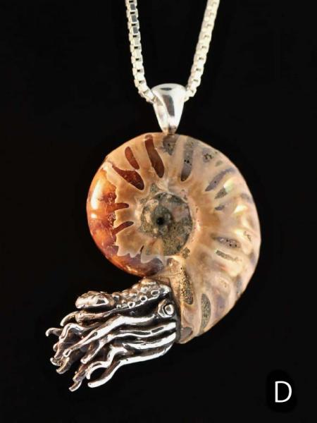 Fossilized Ammonite Nautilus Necklace - 5mm Gemstone - Silver picture