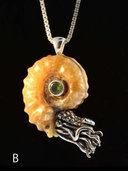 Spiky Fossilized Ammonite Nautilus Necklace with Gemstone - Silver picture