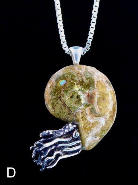 Fossilized Ammonite Nautilus Necklace - Silver picture