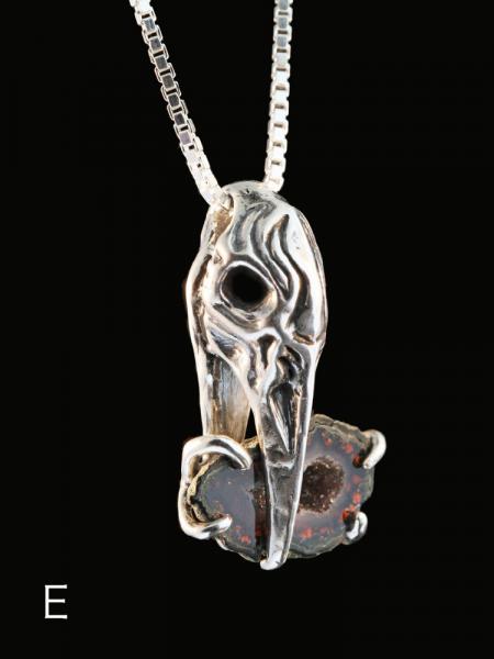 Raven Skull with Treasure - Silver picture