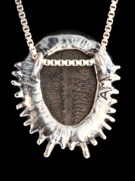 Trilobite Fossil Pendant - Silver picture