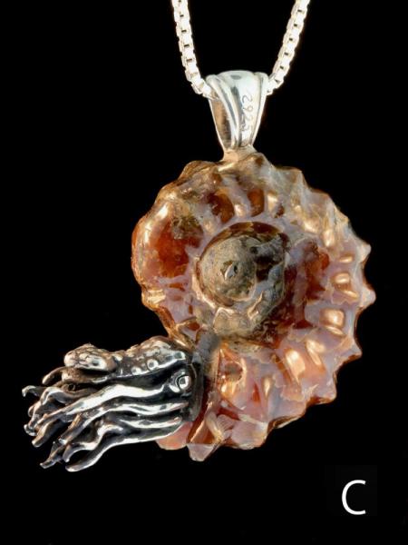 Spiky Fossilized Ammonite Nautilus Necklace with Gemstone - Silver picture