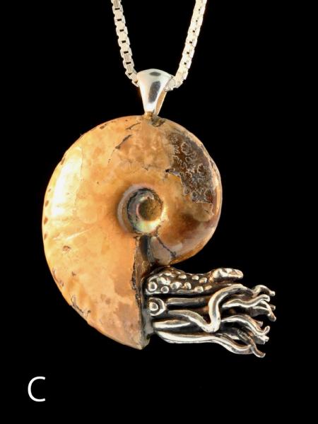 Fossilized Ammonite Nautilus Necklace - Silver picture