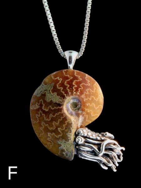 Fossilized Ammonite Nautilus Necklace - Silver picture