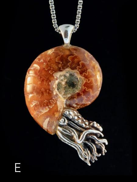 Fossilized Ammonite Nautilus Necklace - Silver picture