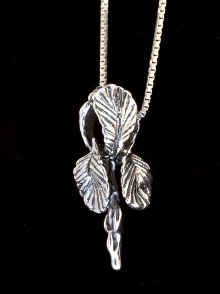 Iris Pendant - Silver picture