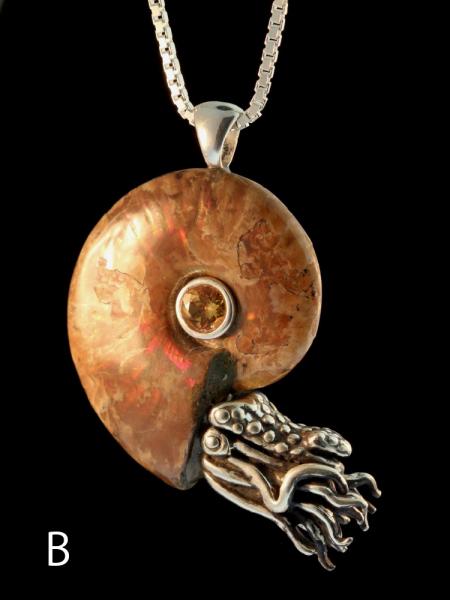 Fossilized Ammonite Nautilus Necklace - 5mm Gemstone - Silver picture