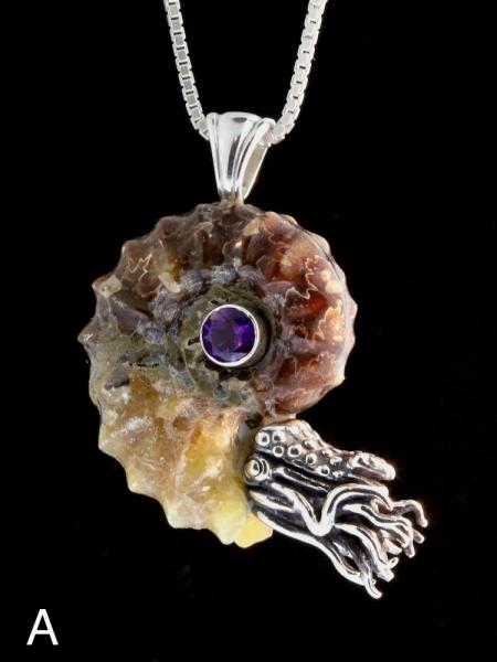 Spiky Fossilized Ammonite Nautilus Necklace with Gemstone - Silver picture