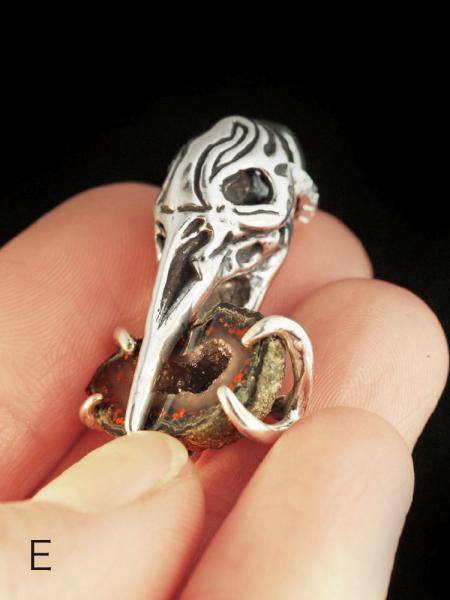 Raven Skull with Treasure - Silver picture