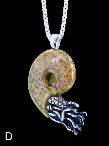 Fossilized Ammonite Nautilus Necklace - Silver picture