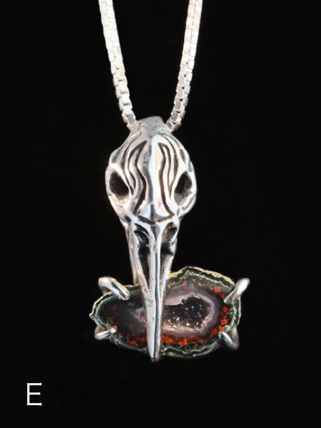 Raven Skull with Treasure - Silver picture